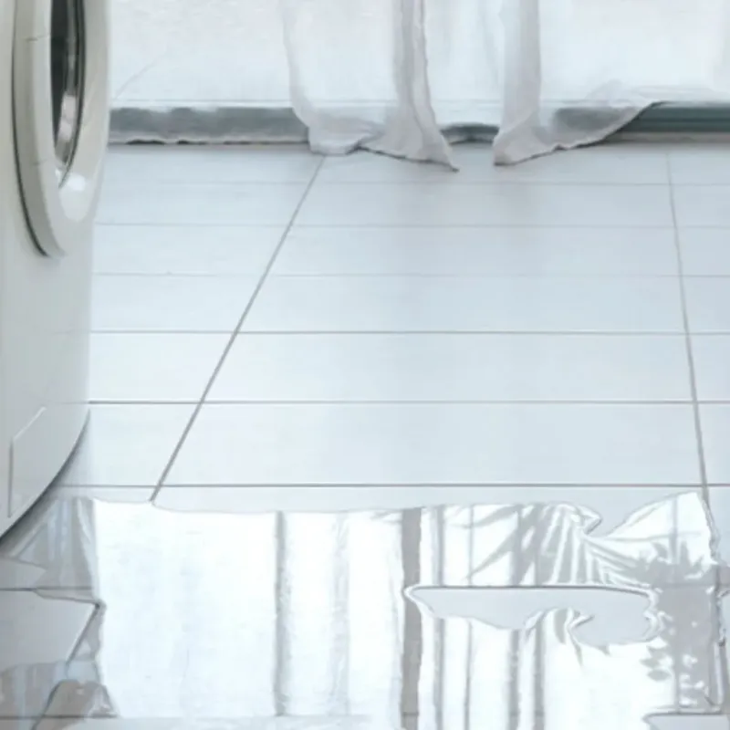 Appliance Leak Cleanup in Borger, TX