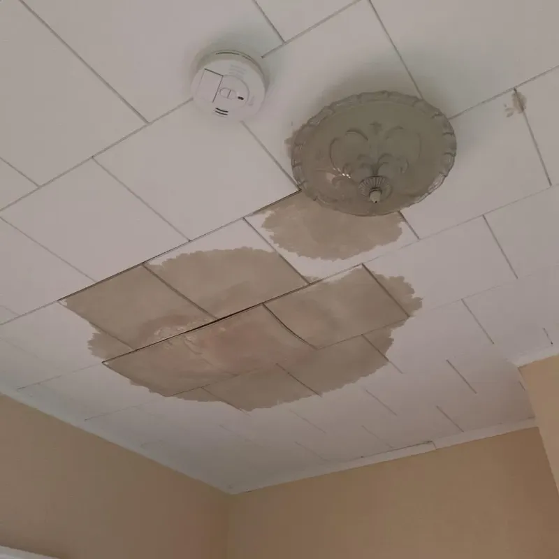 Ceiling Water Damage Repair in Borger, TX
