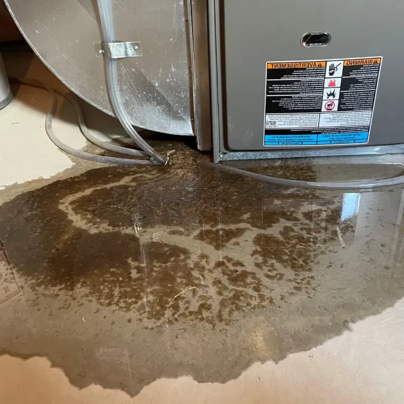 Pipe Burst and Leak Restoration in Borger, TX