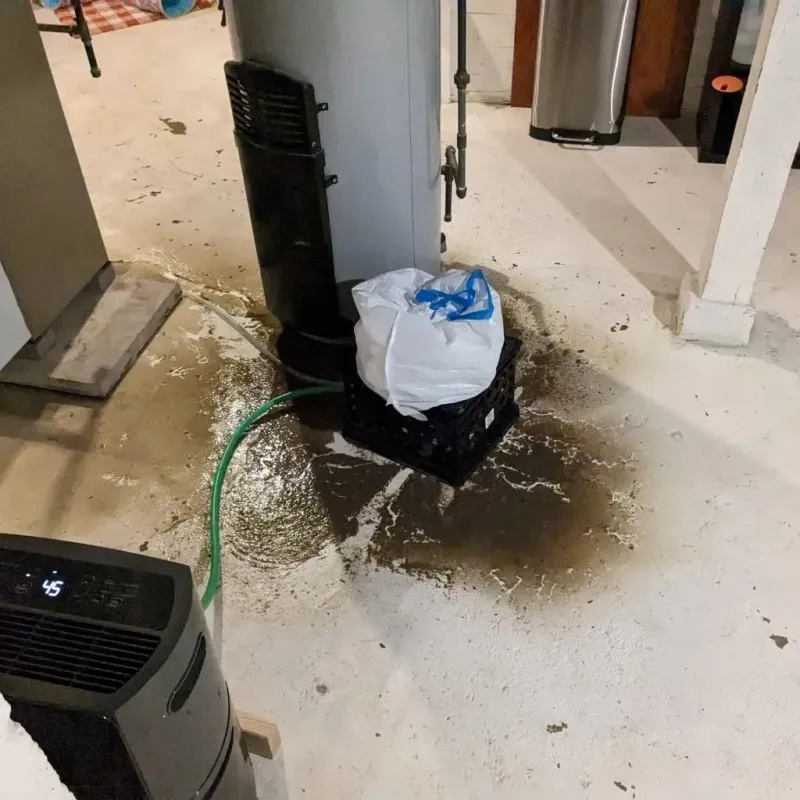 Sewage Backup Cleanup Service in Borger, TX